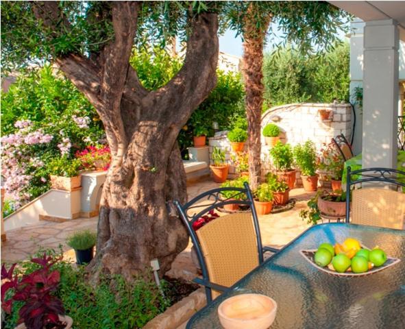 Villa Aliki Barbati Exterior foto